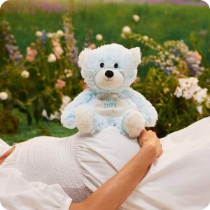 Baby Boy Bear Warmies